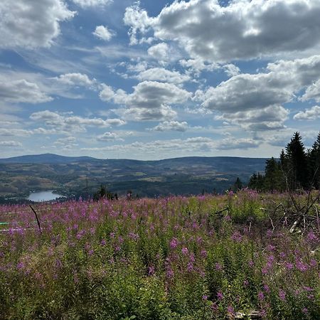 Bergmannsruh Lägenhet Clausthal-Zellerfeld Exteriör bild